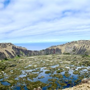 Kotepokouri Rano Kau