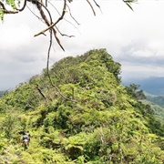 Mount Tomanivi, Fiji