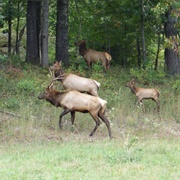 J.T. Nickel Family Nature & Wildlife Preserve