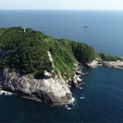 Snake Island (Ilha Da Queimada Grande)