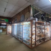 Griffiths Sea Shell Museum
