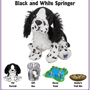Black and White Spaniel