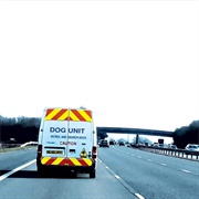 Dog Unit - Barking to Gospel