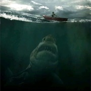 A Shark Watching It's Next Meal