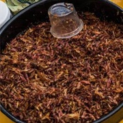 Dehydrated Maguey Worms