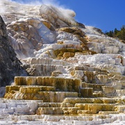 Mammoth Hot Springs, Yellowstone National Park, Wyoming, USA