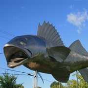 Hastings Pisces Pete