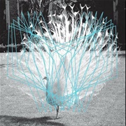 Thomas Ankersmit & Valerio Tricoli - Forma II