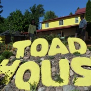 Toad House