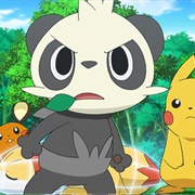 847. Dreaming a Performer's Dream!