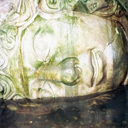 DOC SLEEP - Birds (In My Mind Anyways)