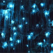 Glowworm Cave