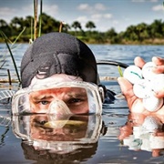 Golf Ball Diver