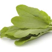 Sorrel