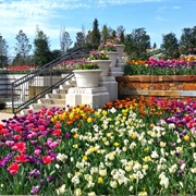 Tulsa Botanic Garden, Oklahoma