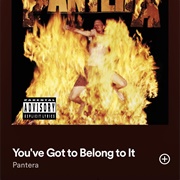 You've Got to Belong to It - Pantera