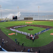 See the Staten Island Ferryhawks