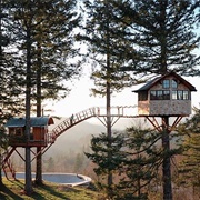 Live in a Treehouse