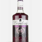 Sloe Gin