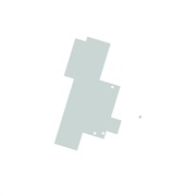 Radu Malfatti - One Man and a Fly