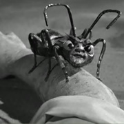 The Outer Limits: "The Zanti Misfits" (S1,E14)