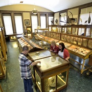 Mansfield Memorial Museum