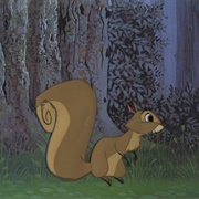 Squirrel