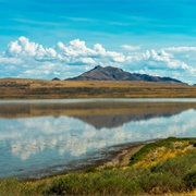 Antelope Island on the Great Salt Lake