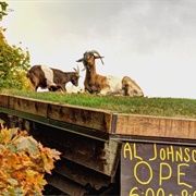 Al Johnson's Swedish Restaurant