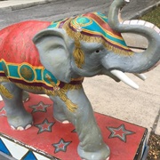 Cinnamon Kandy the Circus Elephant