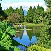 Vandusen Botanical Garden, Vancouver