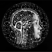 The Complete Personal Development Course - 22 Courses in 1