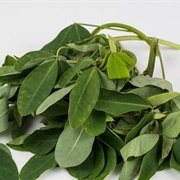 Chipilín (El Salvador)