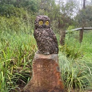 'Mullum Mullum the Owl'