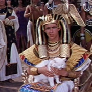 Ptolemy's Cat (Cleopatra, 1963)