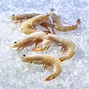 Green Tiger Prawn (Penaeus Semisulcatus)