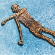 Otzi the Iceman, Italy