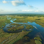 The Everglades, USA