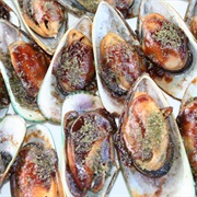 Greenshell Mussel (Perna Canaliculus)