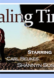 Stealing Time (2013)