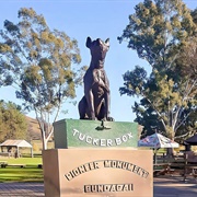 Dog on the Tuckerbox, Australia