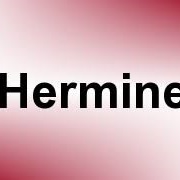 Hermine