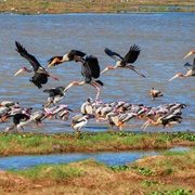 Kumana National Park