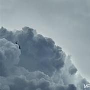 LOST - NF Featuring Hopsin