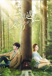 A Journey to Meet Love (2019)