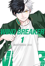 Wind Breaker, Vol. 1 (Satoru Nii)