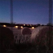 Laurel - Thatcherblackwood