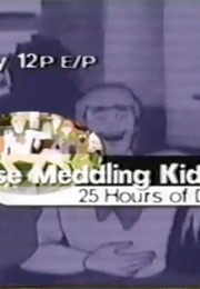 Those Meddling Kids (1998)