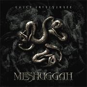 Imprint of the Un-Saved - Meshuggah