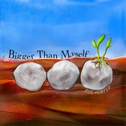 Pinecones - Bug Hunter